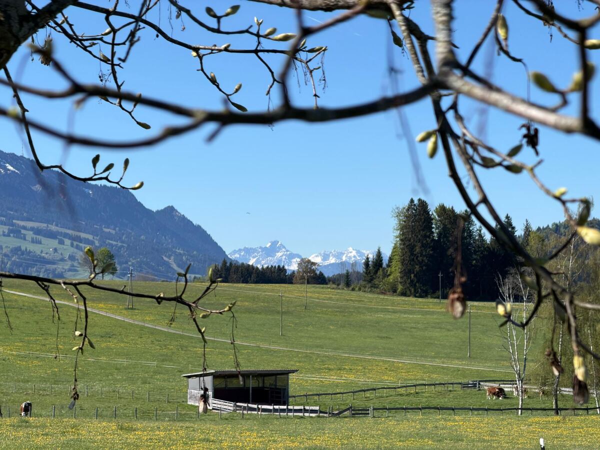 Blick von der Terrasse über Allgäuer Wiesen bis zum Widderstein im Kleinwalsertal